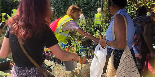 Plant, Seed, Produce & Pot Swap, Gift Stall & Meadow Reaping