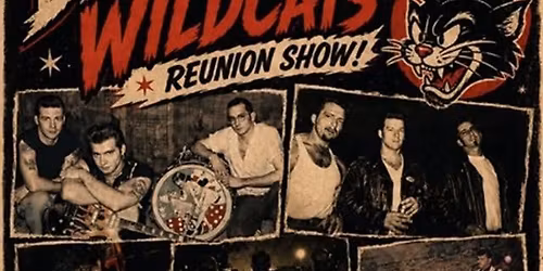 DangerVille Wildcats Reunion Show! Wsg The Velvet Jaguars and The Dynettes