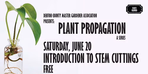 Introduction to Stem Cuttings