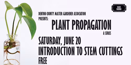 Introduction to Stem Cuttings