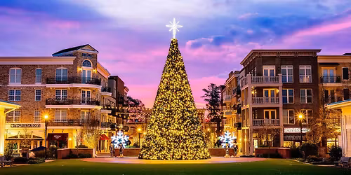 An Alpharetta Holiday