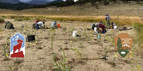 Planting Native Seeds Volunteer Day at Rocky Mountain National Park