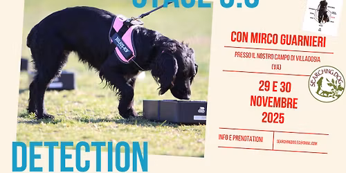 Stage di Detection con Mirco Guarnieri 