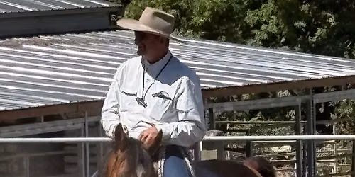 Bruce Sandifer workshop. Three days of excellent learning. All breeds all disciplines welcome.