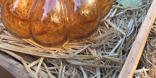 Glass Pumpkin Festival
