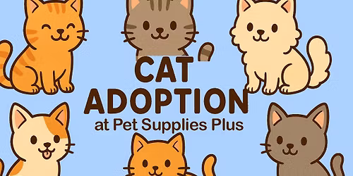Cat Adoption Event on May 9th