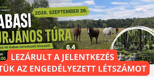 Dabasi Turj\u00e1nos T\u00fara - Beactive