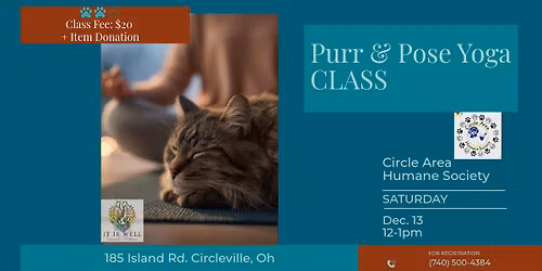 Purr & Pose Yoga Class