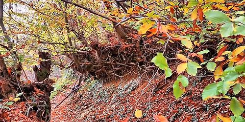 TrekinTurkey ile Sonbahar Renkleriyle Erikli Yaylas\u0131 & \u015eelalesi Do\u011fa y\u00fcr\u00fcy\u00fc\u015f\u00fc