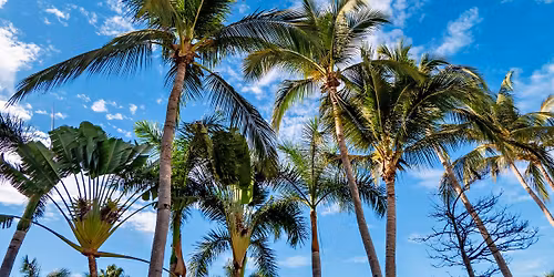 Amigos de Bucerias Monthly Breakfast Meeting