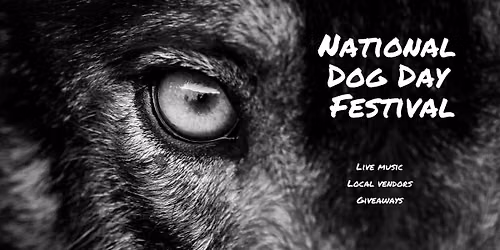 9th Annual National Dog Day Festival