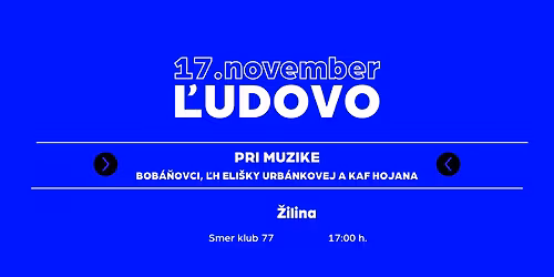 17. november \u013eudovo v \u017diline