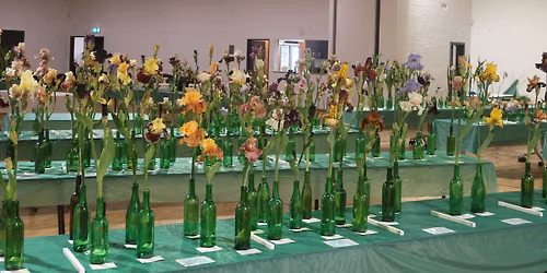South Australian Iris Society Annual Show