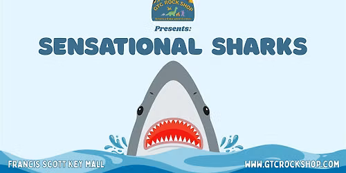 Sensational Sharks- for Shark Week