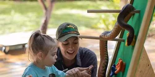 Member Exclusive: Toddler Tuesday Summer Series!