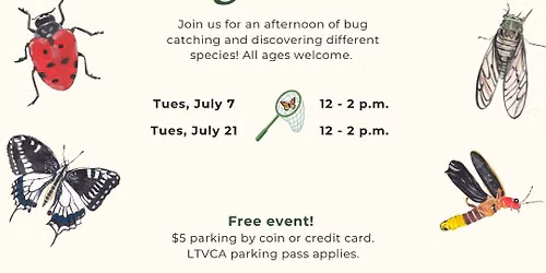 Bug Safari at Longwoods Road Conservation Area