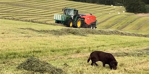 10 \u00e5rs Jubil\u00e6um \/ \u00c5benhus 