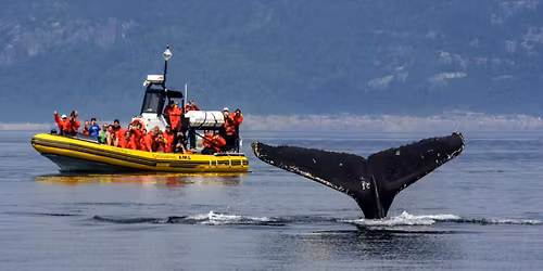 Weekend Tadoussac, baleines & Fjord! (3 jours) 