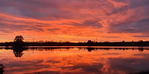 Bonfire night and Fireworks display