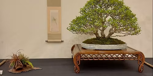 UKBA EXPOBONSAI UK 2026