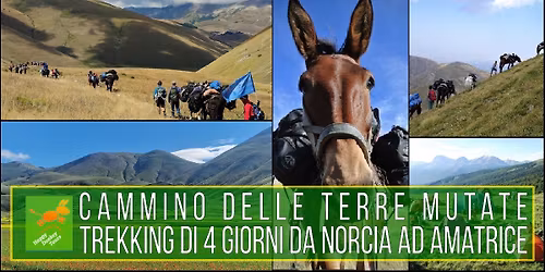 Cammino delle Terre Mutate: Trekking di 4 giorni da Norcia ad Amatrice