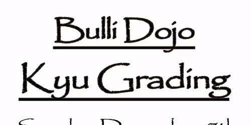 Bulli Dojo Kyu Grading