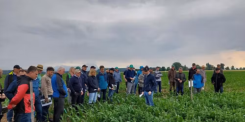 Feldtag Pflanzenbau, Bad Wimsbach-Neydharting