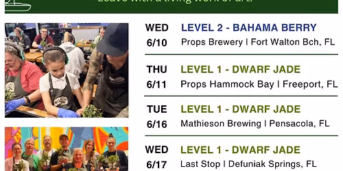 Bonsai and Brews @ The Prost Office Brewery