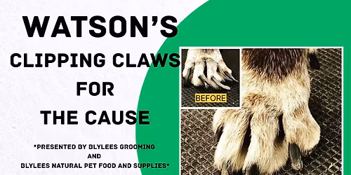 Watson's Clipping for the Cause at Blylee's Grooming