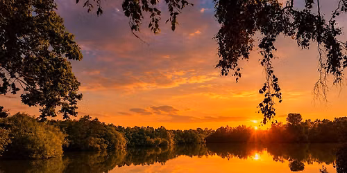 Lincoln Hike Club - Sunset Walk 8- The Swanholme set!
