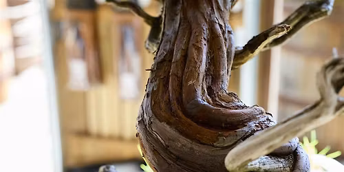 Conifer Repotting Workshop