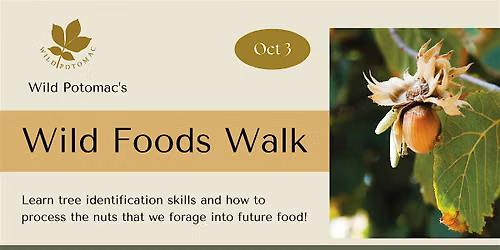 Wild Foods Walk