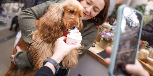 COCKER SPANIEL CAFE - DURHAM