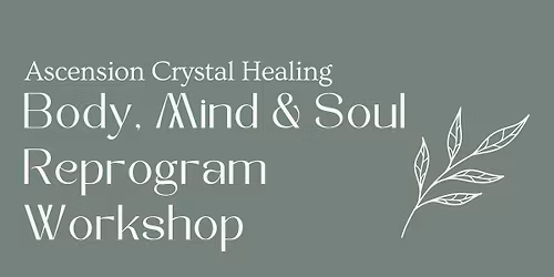 Body, Mind & Soul Reprogram Workshop