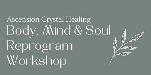 Body, Mind & Soul Reprogram Workshop