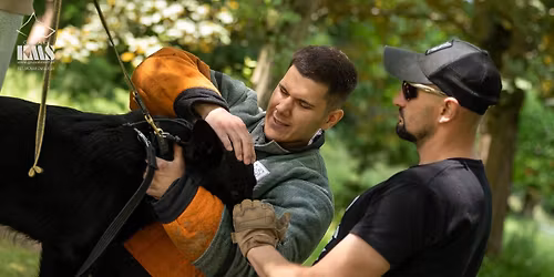 Ob\u00f3z K9 Adventure Camp 