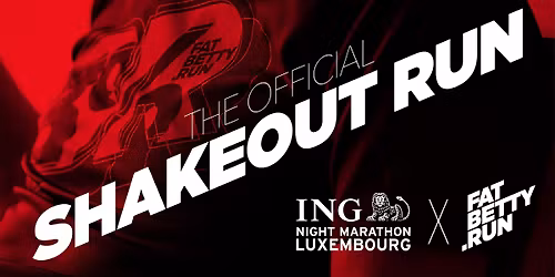 The official SHAKEOUT RUN \u2014 ING Night Marathon Luxembourg x FatBettyRun