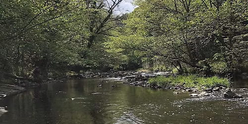 POETRY BY THE RIVER