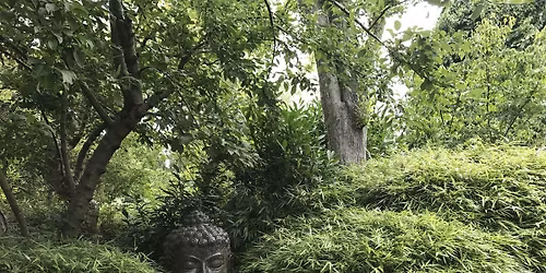 Arboretum Tour: Salt Marsh