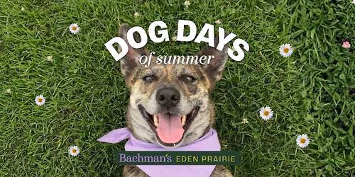 Dog Days of Summer - Eden Prairie — Bachman's Floral, Gift & Garden