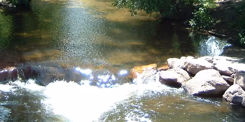 LCVMA CE EVENT NOV 20 OPHTHALMOLOGY