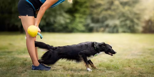 Maj\u00f3wka obedience z Klaudi\u0105 Szyma\u0144sk\u0105 w Krakowie 2026