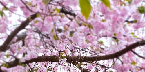 Gubb\u00e4ngens barnkl\u00e4desbyte