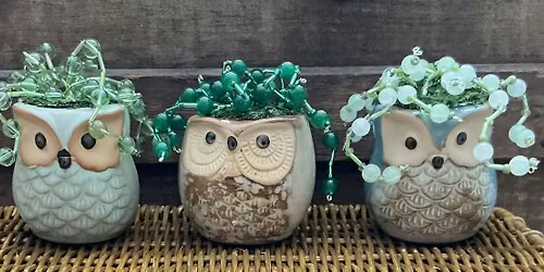 Forever Beaded Plant in Adorable Owl Planter Class