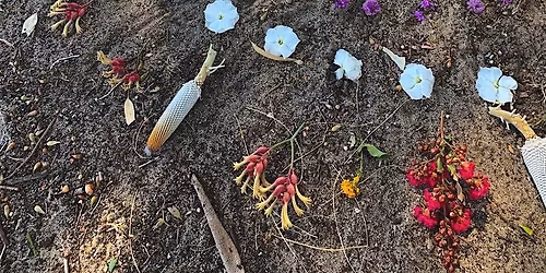 Heart Tending In Nature