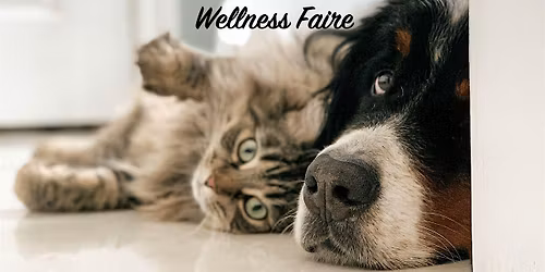 Indigo Pet Reiki & Wellness Faire
