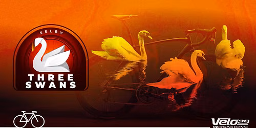 Selby 3 Swans Sportive
