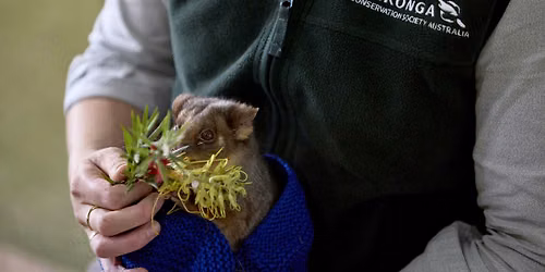 SCHOOL HOLIDAYS: Taronga Zoomobile