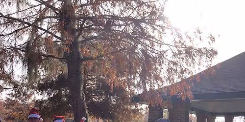 Q50 Races Santa on Trails 5k