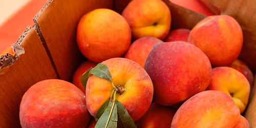 The Peach Truck Stops at Electric Works